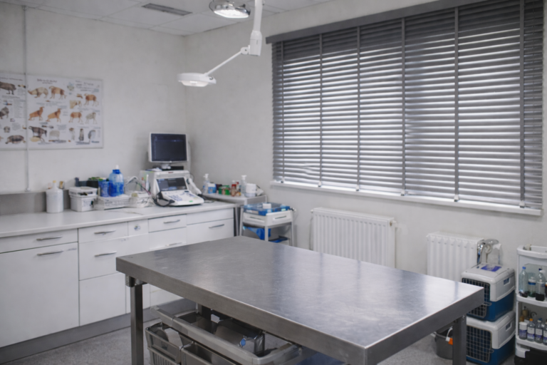 Jakie rolety do kliniki weterynaryjnej